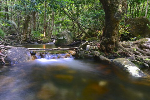 Daintree Cascades - Accommodation in Brisbane 6