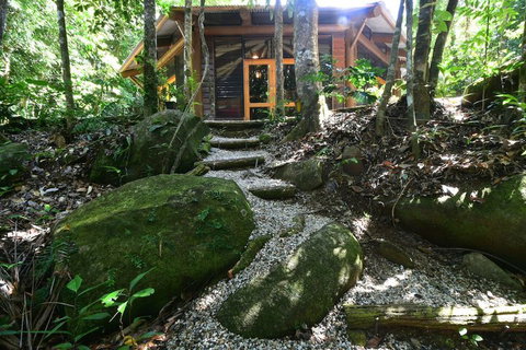 Daintree Cascades - Accommodation in Brisbane 7