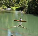 Figtree Getaway - Accommodation in Brisbane