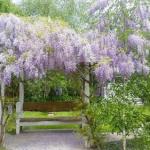 Amelina Cottages - Accommodation in Brisbane 0