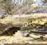 Wrens View - Accommodation in Brisbane