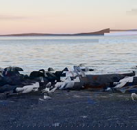 Hilton Motel - Accommodation in Brisbane