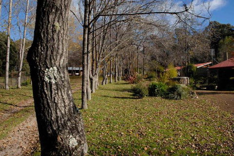 Birdwing Bed & Breakfast Weegena - Accommodation in Brisbane 2