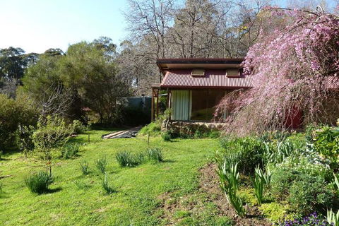 Birdwing Bed & Breakfast Weegena - Accommodation in Brisbane 5