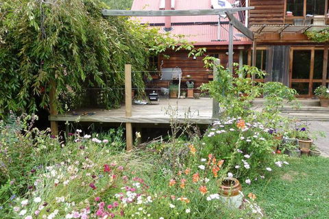 Birdwing Bed & Breakfast Weegena - Accommodation in Brisbane 6