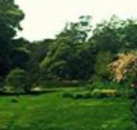 Birdwing Bed  Breakfast Weegena - Accommodation in Brisbane