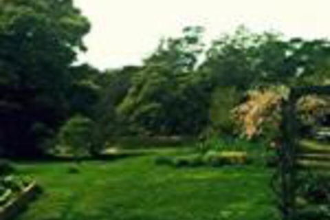 Birdwing Bed & Breakfast Weegena - Accommodation in Brisbane 0