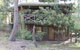 Sea Nest - thumb 4