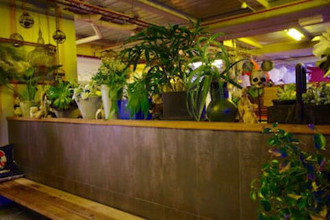 Sow And Piglets Guesthouse - Accommodation in Brisbane 0