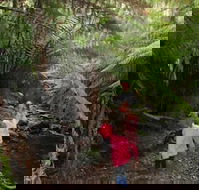 12 Apostles Cottages - Accommodation in Brisbane