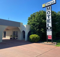 Citrus Motel - Accommodation in Brisbane