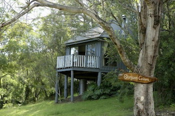 Bluegums Cabins Barrington Tops - Accommodation in Brisbane 1
