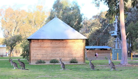Ingenia Holidays Murray Bend - Accommodation in Brisbane 1