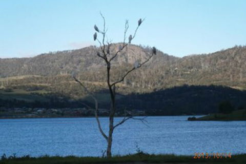 Derwent Retreat - Accommodation in Brisbane 6