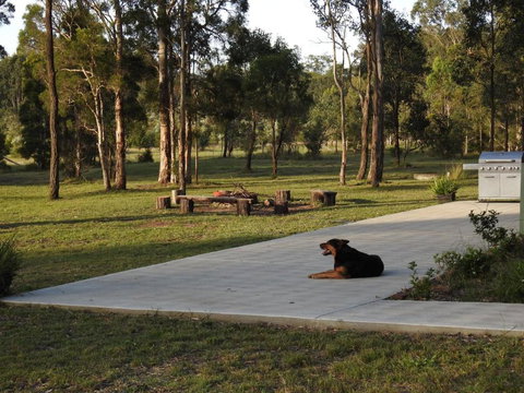Wallaby Cottage Cute Accom In Bushland Setting - Accommodation in Brisbane 3