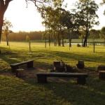Wallaby Cottage Cute Accom In Bushland Setting - Accommodation in Brisbane 0
