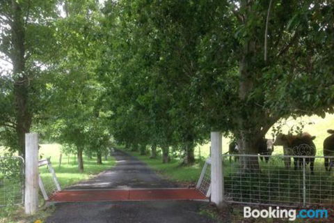 Whispers At Cedar Grove - Accommodation in Brisbane 7
