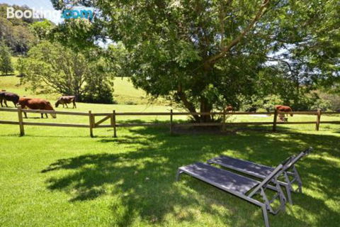 Whispers At Cedar Grove - Accommodation in Brisbane 5