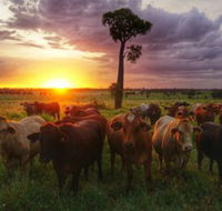 Myella Farm Stay - Accommodation in Brisbane
