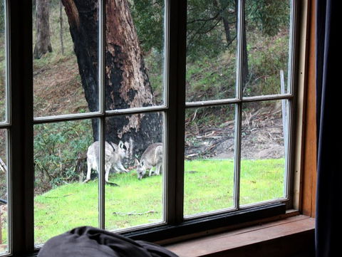 La Boheme Villa - Accommodation in Brisbane 6
