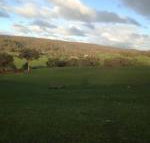 Mancuso Country Cottage Retreat - Accommodation in Brisbane