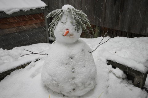 CHILL OUT At THREDBO - Accommodation in Brisbane 2