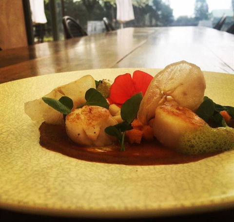 Au Pear - Accommodation in Brisbane 8