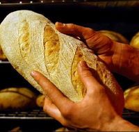 Red Beard Historic Bakery - Accommodation in Brisbane