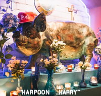 Hotel Harry - Accommodation in Brisbane