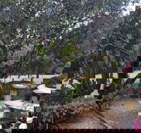 Leonies Little Tree Cafe