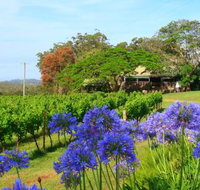 Little Fish Cafe - Accommodation in Brisbane