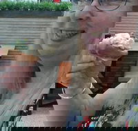 Cinnamon Beans - Accommodation in Brisbane