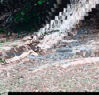 Port McQuarie - Accommodation in Brisbane