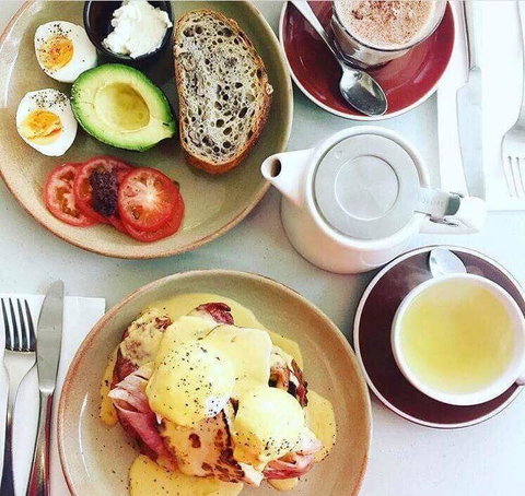 Uliveto - Accommodation in Brisbane 5