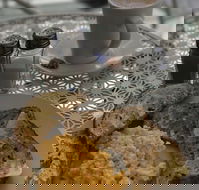 Blu J's - Accommodation in Brisbane