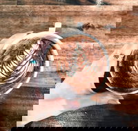 The Anchor Coffee House