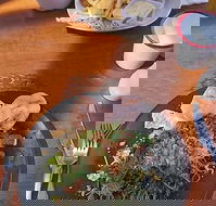 Painted Horse Cafe - Accommodation in Brisbane