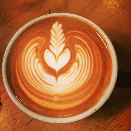 Port Macquarie NSW Accommodation in Brisbane