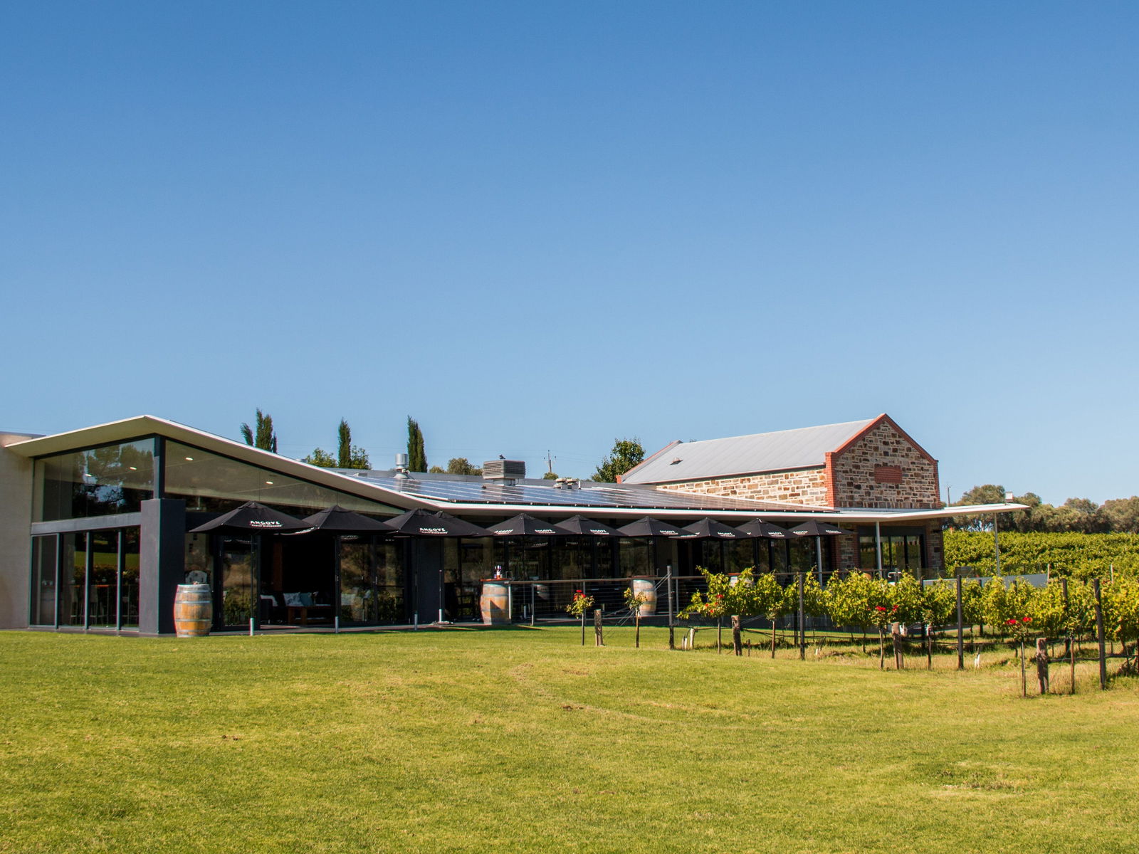 Mclaren Vale SA Accommodation in Brisbane