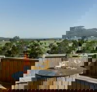 Constable Estate Vineyard