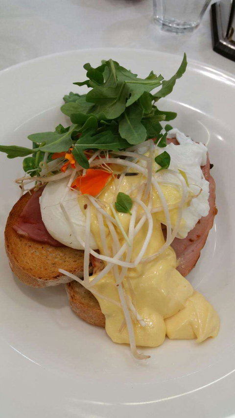 Vida Espresso - Accommodation in Brisbane 0