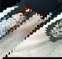 8th Nerve Cafe - Accommodation in Brisbane