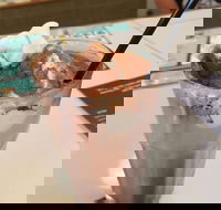 Coffee Mentality - Albion - Accommodation in Brisbane