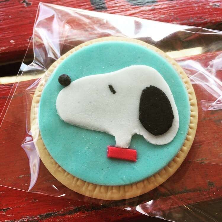 Thornleigh NSW Accommodation in Brisbane