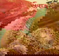 Shifu Dumpling Express - Accommodation in Brisbane