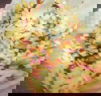 Massive Wieners - Accommodation in Brisbane