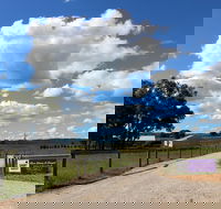 Short Sheep Micro-Winery - Accommodation in Brisbane