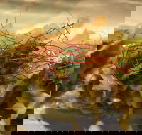 St. Hotel - Accommodation in Brisbane