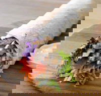 Le Wrap - CBD - Accommodation in Brisbane