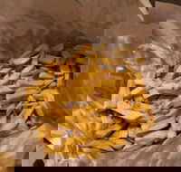 Back Room at Carwyn Cellars - Accommodation in Brisbane